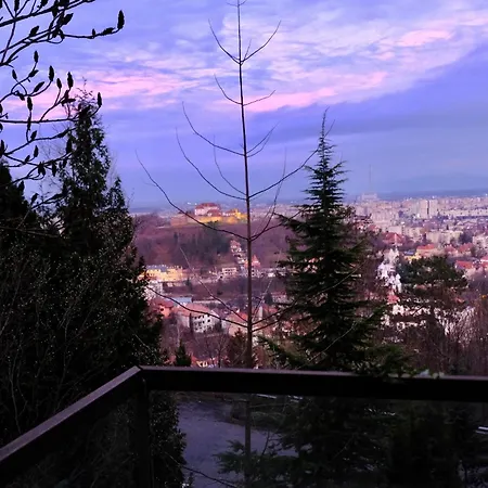 Magicviewbrasov Διαμέρισμα Μπρασόβ